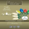 Goldengifts 8 ft. Gold LED C9 Multi Color & Warm White String Christmas Lights - 25 Count GO3310870